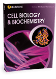 Picture of Cell Biology & Biochemistry