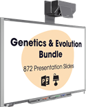 Picture of Genetics & Evolution Bundle (3 Downloads)